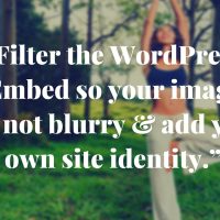 Fix blurry images in your WordPress oEmbed and...